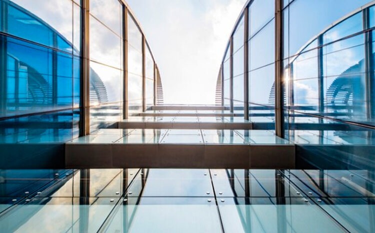 Visro temperado 01.jpeg